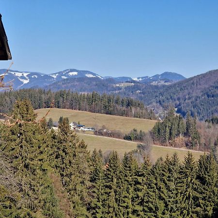 Natur- & Erlebnis Ferienhaus Voitsberg Exterior foto