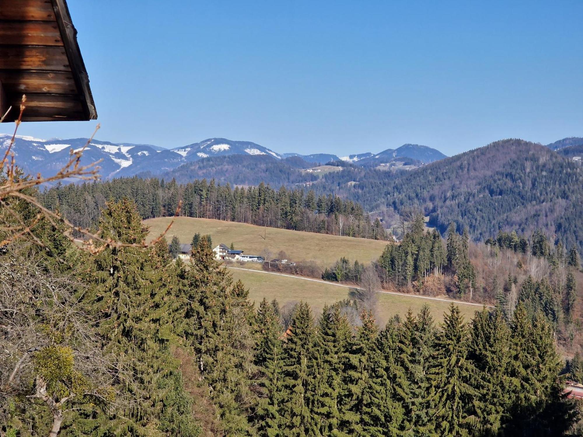 Natur- & Erlebnis Ferienhaus Voitsberg Exterior foto